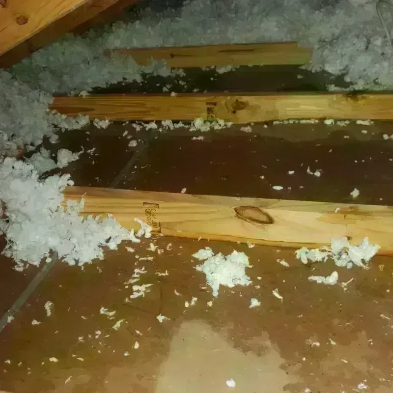 Attic Water Damage in Shenandoah County, VA